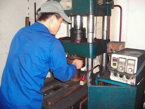 炭雕生產加工技術與奉化市清風工藝制品廠的網絡技術應用