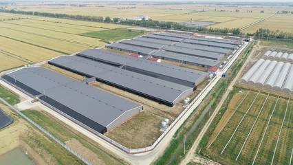 江蘇農業農村重大項目投資規模創新高，近千項目總投資超2200億元